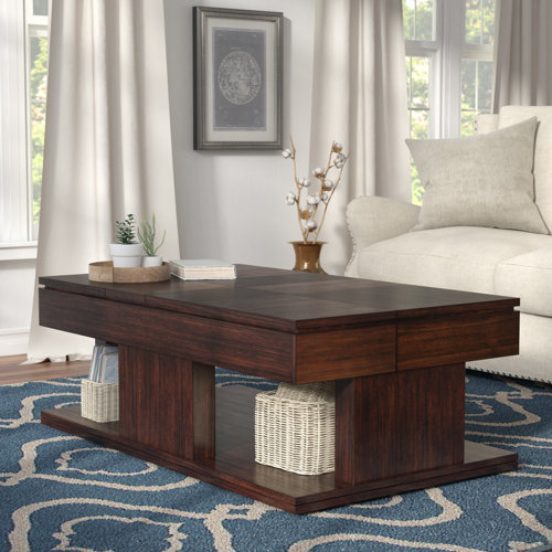 Darby Home Co Janene Lift Top Coffee Table with Storage & Reviews Wayfair